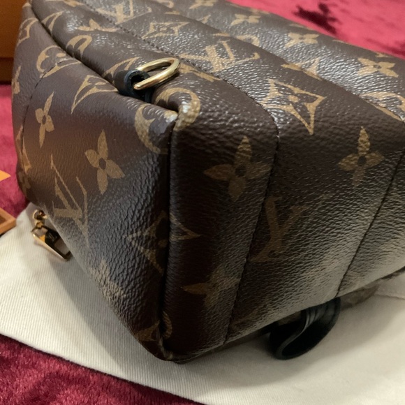 Louis Vuitton Palm Springs Mini backpack - Picture 9 of 13